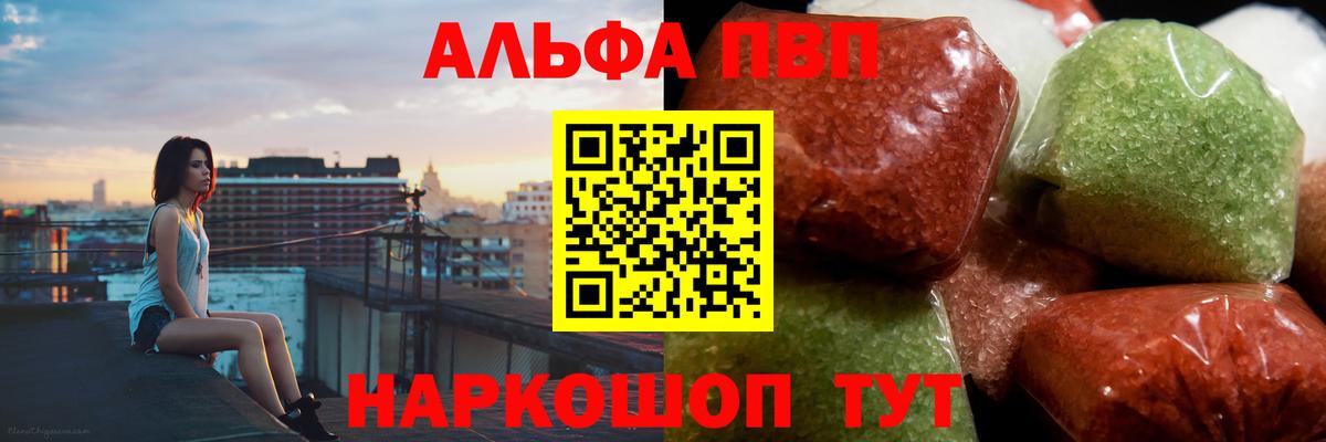 Альфа ПВП СК Новороссийск