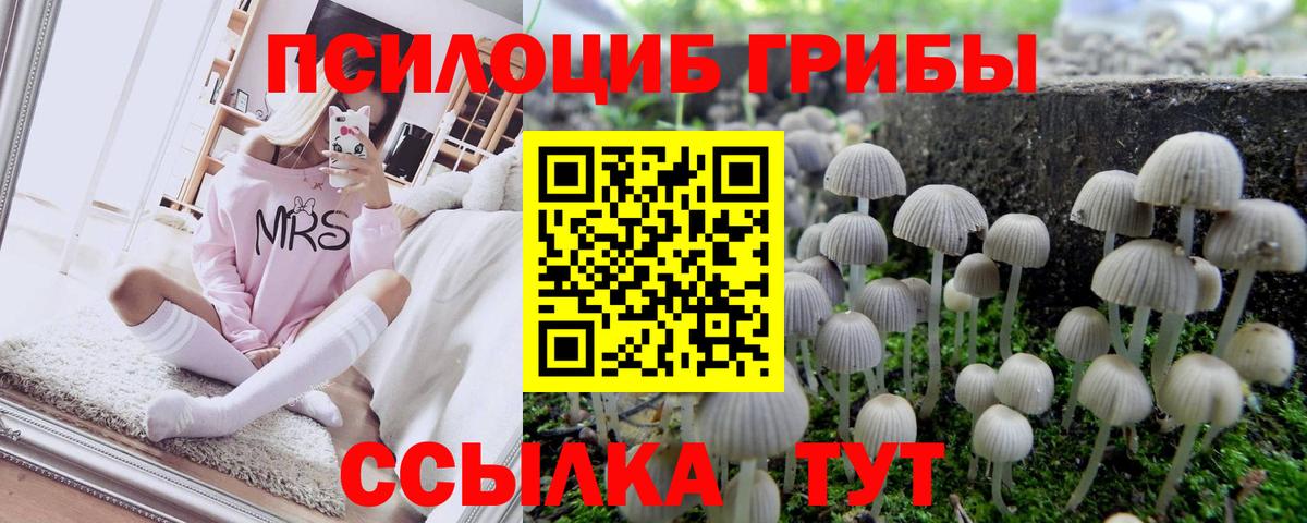 Галлюциногенные грибы мухоморы Новороссийск