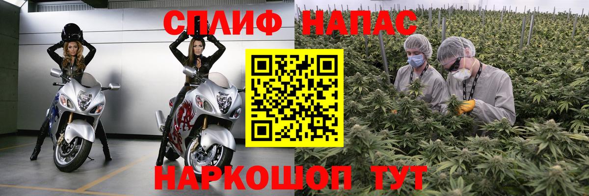 Каннабис гибрид Новороссийск